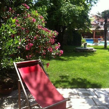 La Cathare Bed and Breakfast Lézignan-Corbières Rum bild